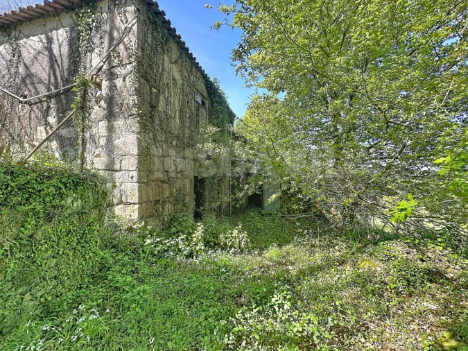 Moradia T3 para Venda em Venade e Azevedo Foto 6