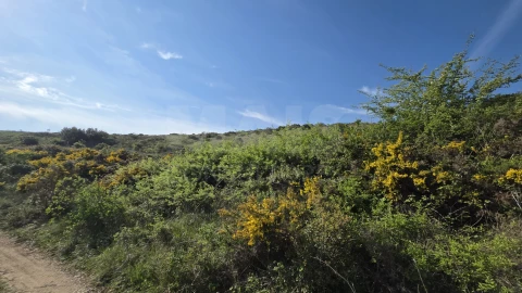 Terreno para Venda em Santiago dos Velhos