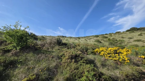 Terreno para Venda em Santiago dos Velhos