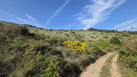 Terreno para Venda em Santiago dos Velhos