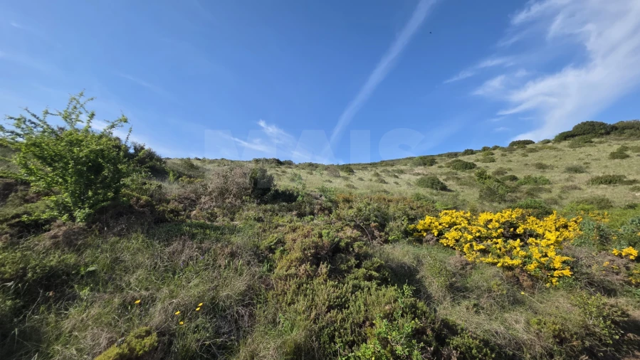 Terreno para Venda em Santiago dos Velhos Foto 5