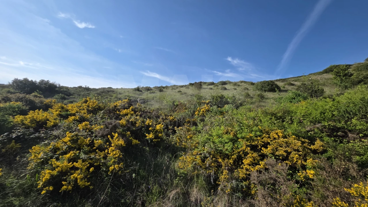 Terreno para Venda em Santiago dos Velhos Foto 1