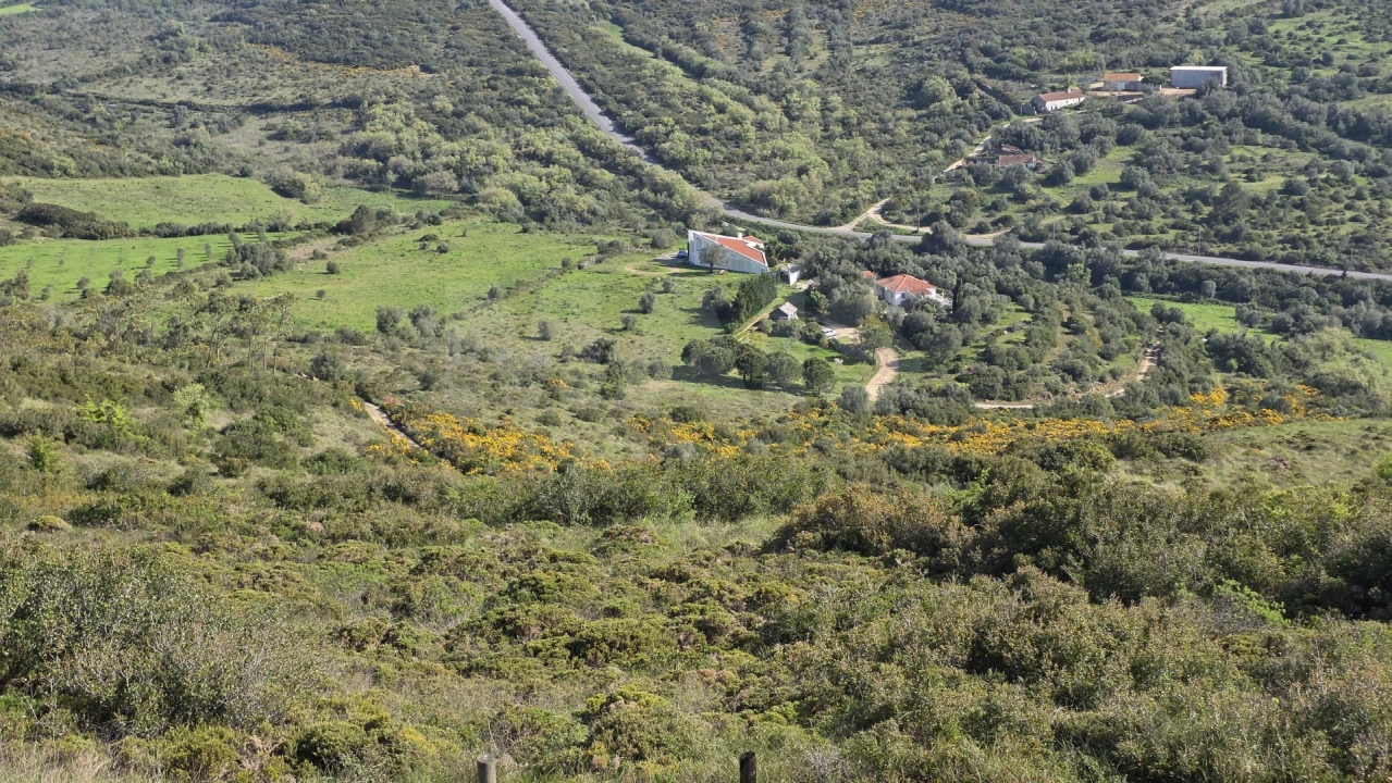 Terreno para Venda em Santiago dos Velhos Foto 8