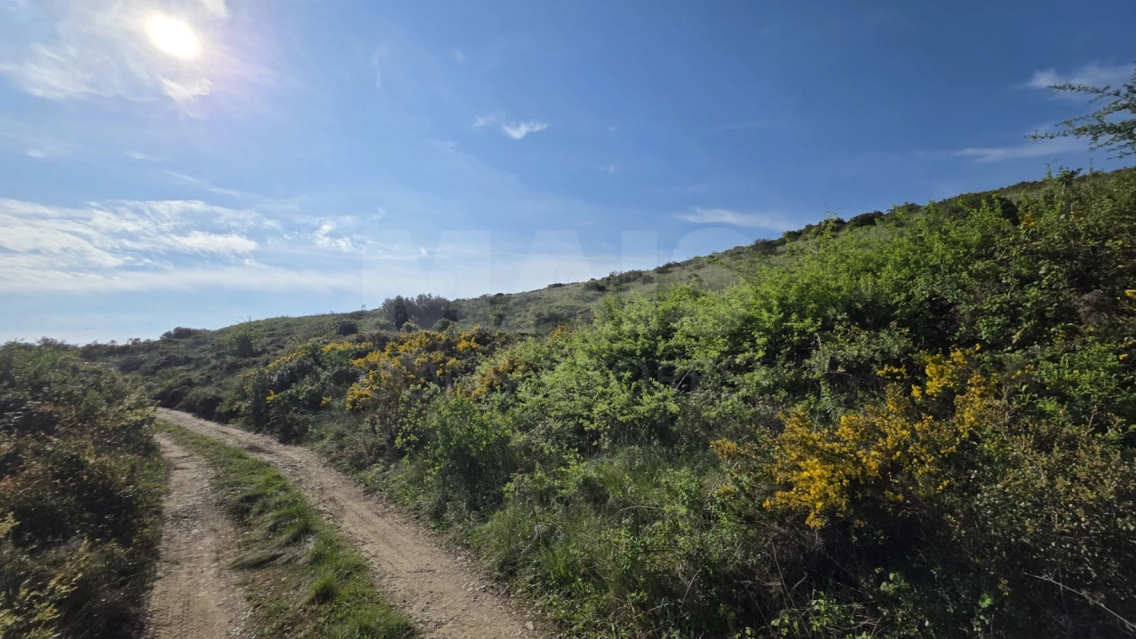 Terreno para Venda em Santiago dos Velhos Foto 2
