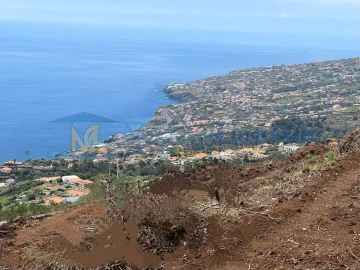 Terreno para Venda em Santa Cruz