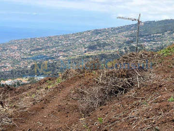 Terreno para Venda em Santa Cruz