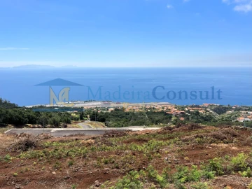 Terreno para Venda em Santa Cruz