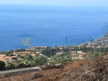 Terreno para Venda em Santa Cruz