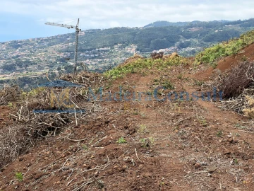Terreno para Venda em Santa Cruz