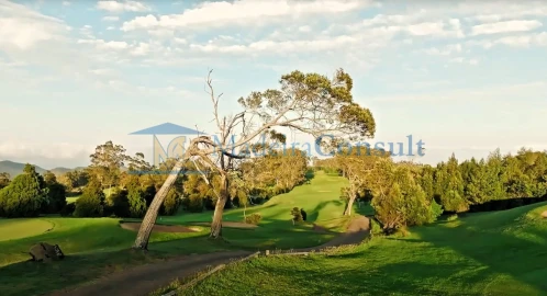 Terreno para Venda em Santa Cruz