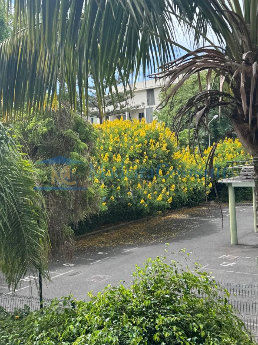 Apartamento T3 para Venda em Funchal (São Pedro) Foto 6