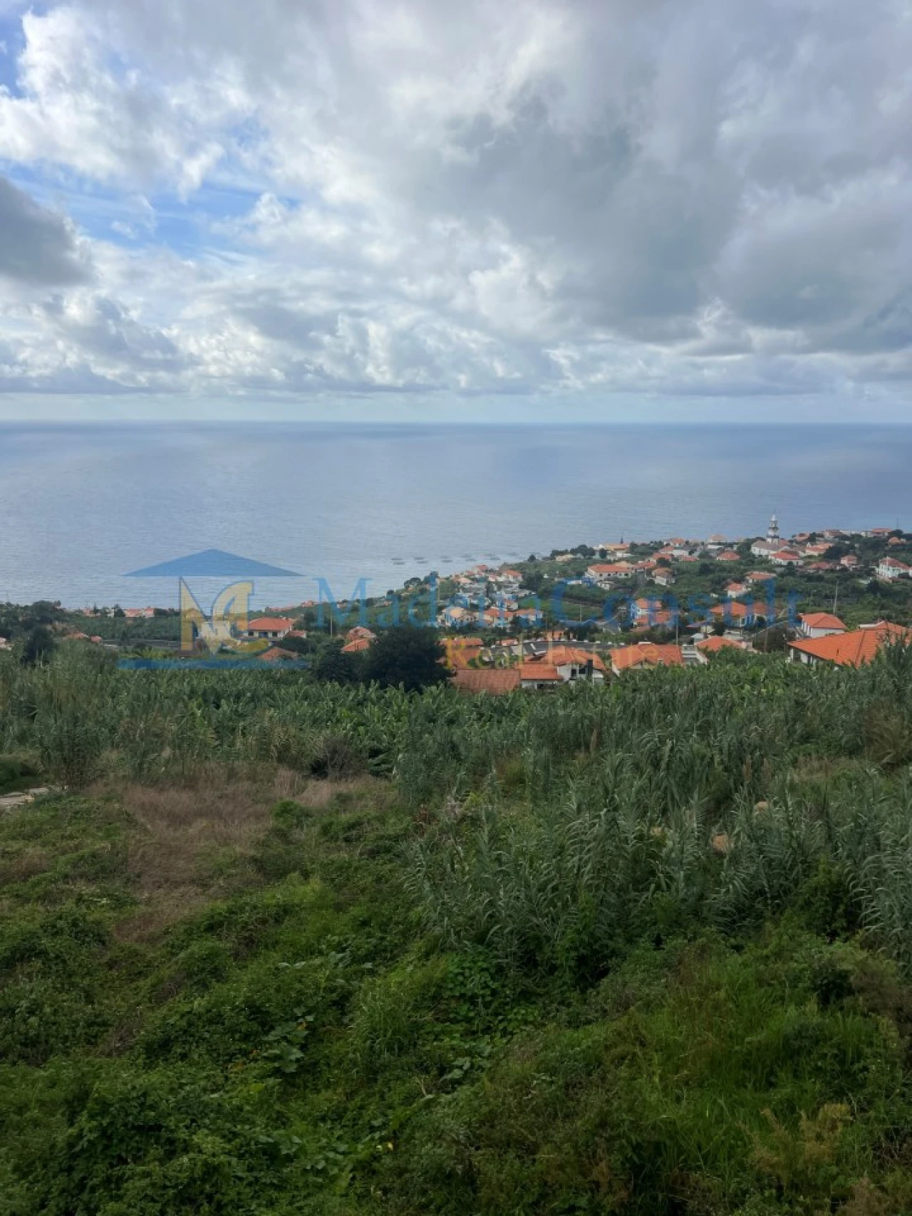 Terreno para Venda em Arco da Calheta Foto 4
