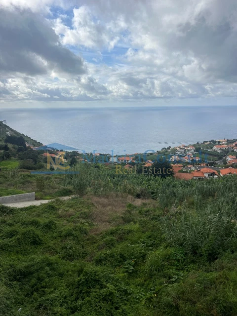 Terreno para Venda em Arco da Calheta