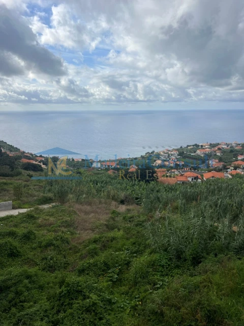 Terreno para Venda em Arco da Calheta