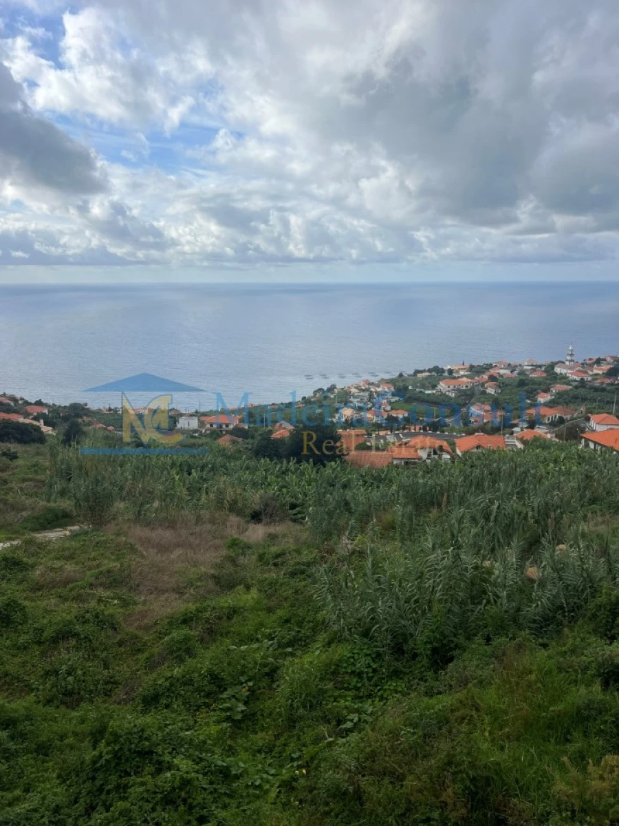 Terreno para Venda em Arco da Calheta Foto 3