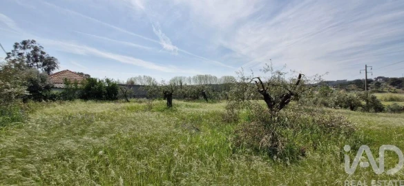 Terreno para Venda em Fraguas