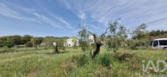 Terreno para Venda em Fraguas