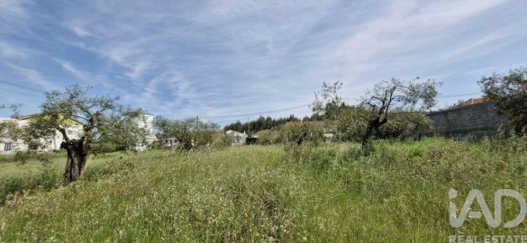 Terreno para Venda em Fraguas