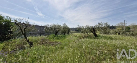 Terreno para Venda em Fraguas