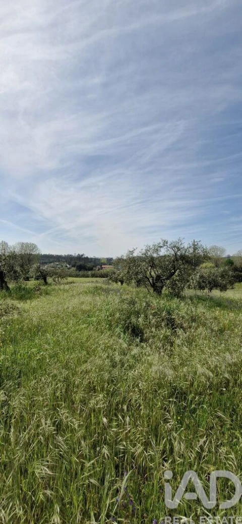 Terreno para Venda em Fraguas
