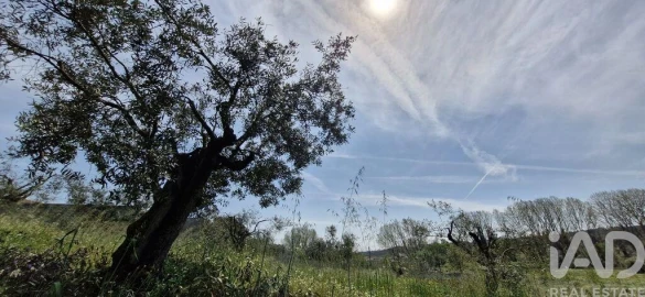 Terreno para Venda em Fraguas