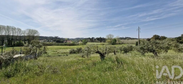 Terreno para Venda em Fraguas