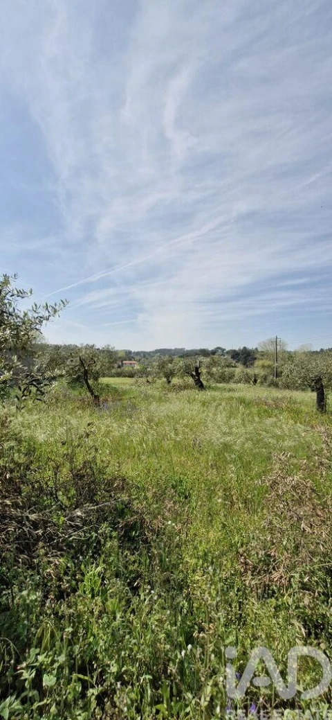 Terreno para Venda em Fraguas