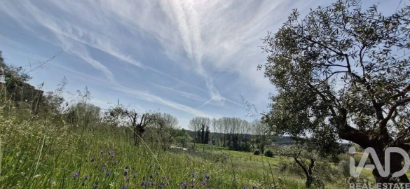 Terreno para Venda em Fraguas