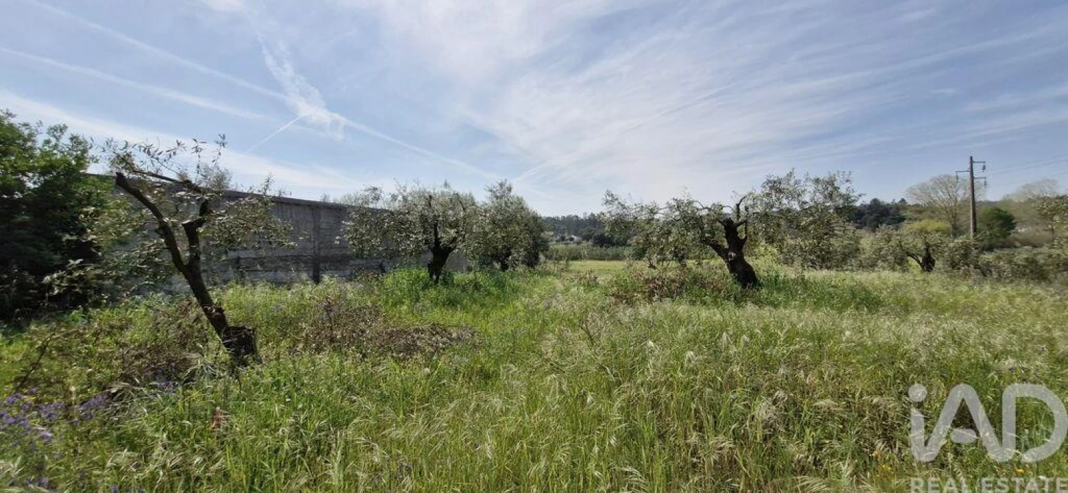 Terreno para Venda em Fraguas Foto 9