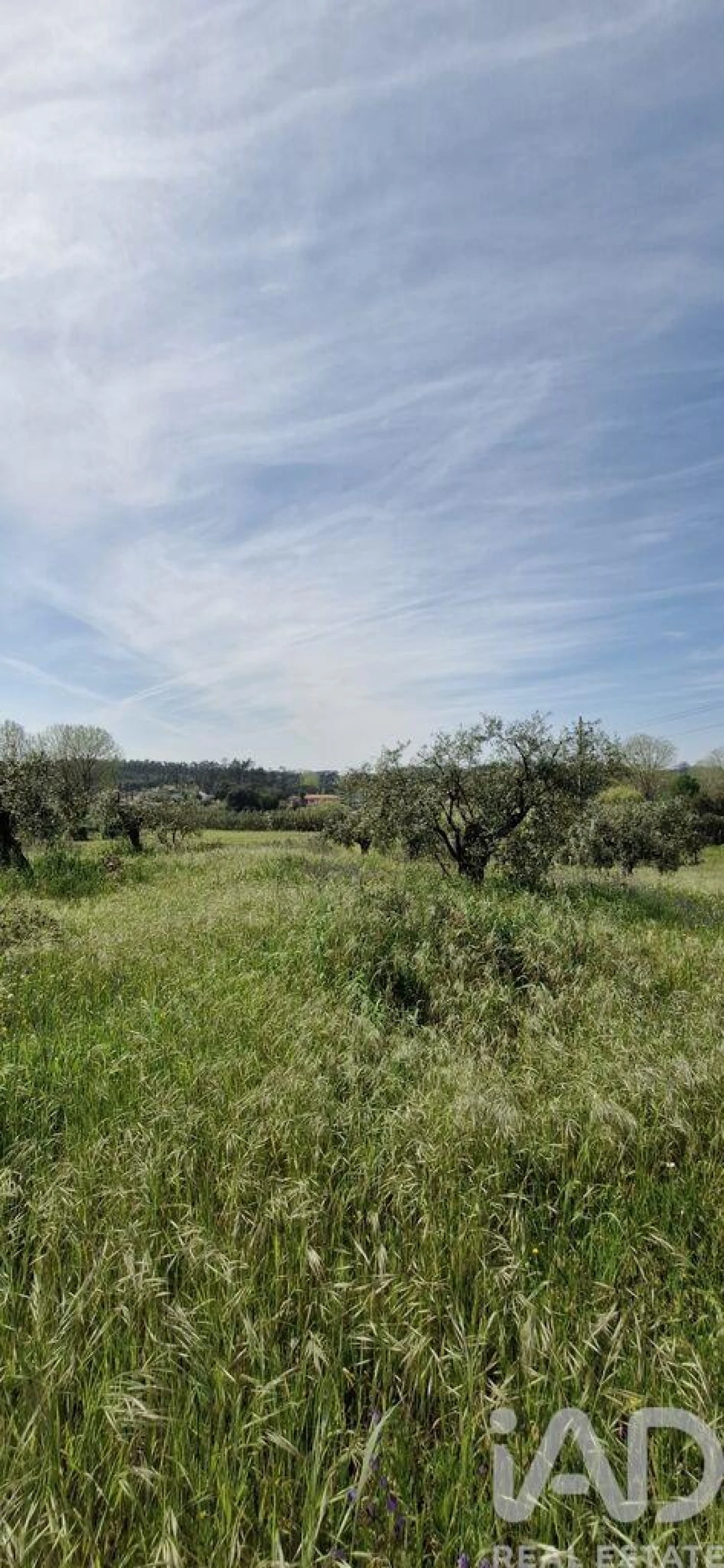 Terreno para Venda em Fraguas Foto 32