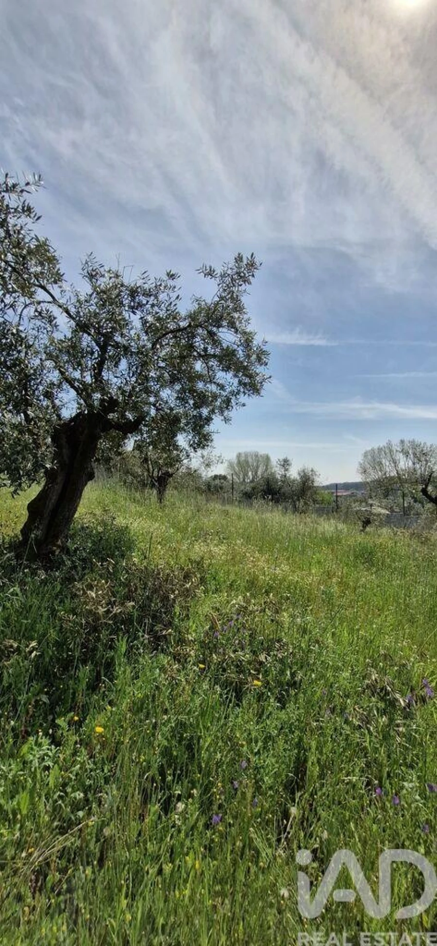 Terreno para Venda em Fraguas Foto 35