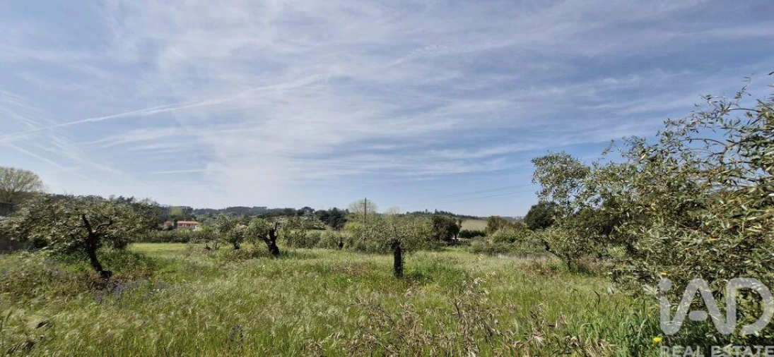 Terreno para Venda em Fraguas Foto 6