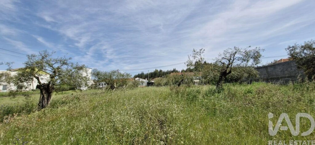 Terreno para Venda em Fraguas Foto 12