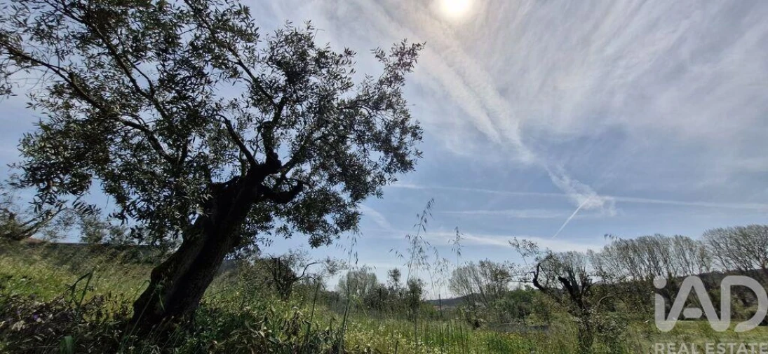 Terreno para Venda em Fraguas Foto 11