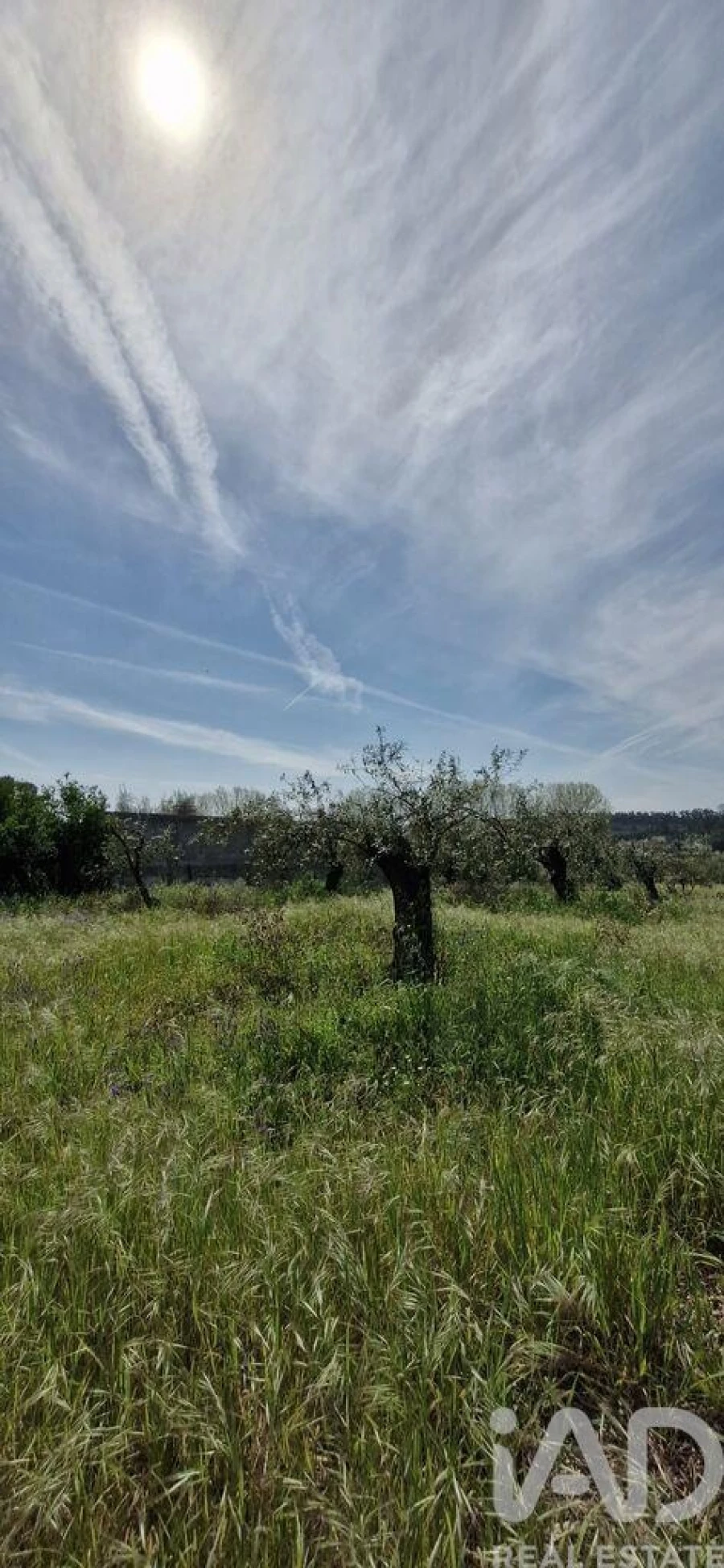 Terreno para Venda em Fraguas Foto 33