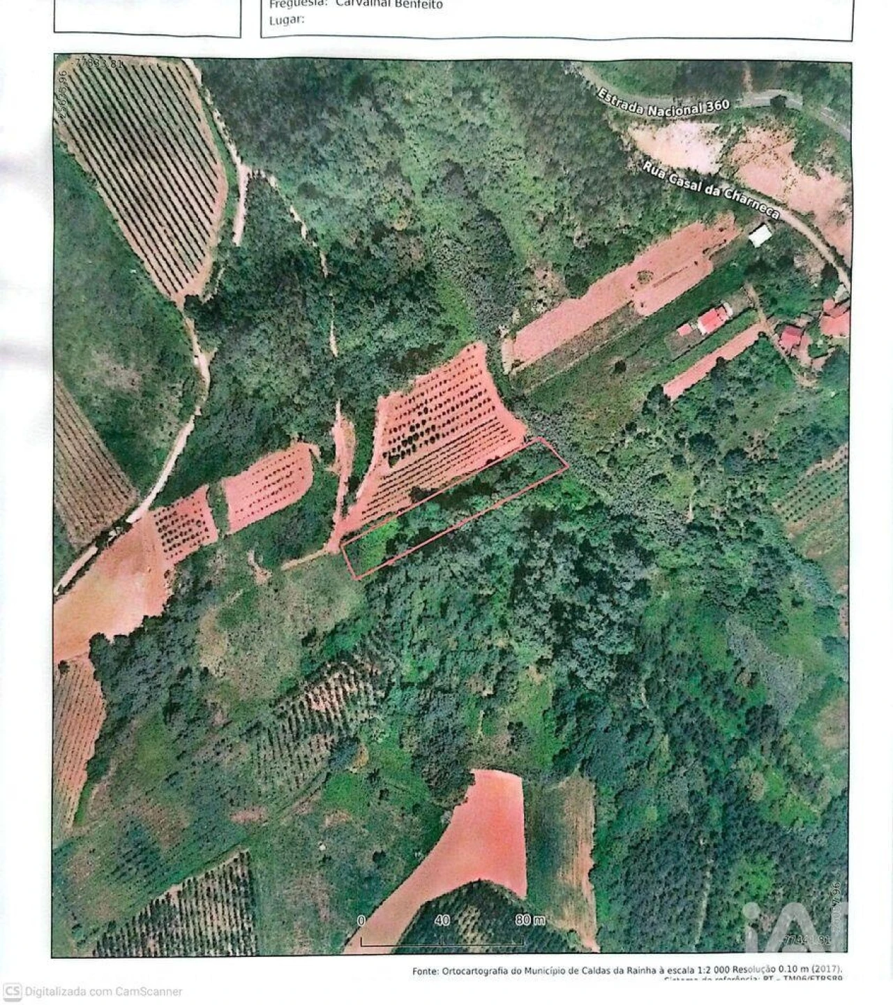 Terreno para Venda em Carvalhal Benfeito Foto 1