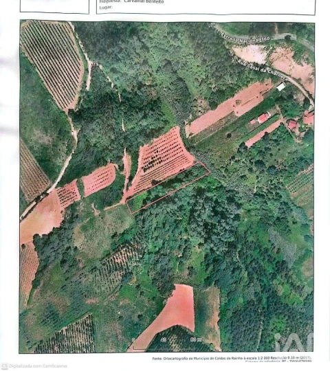 Terreno para Venda em Carvalhal Benfeito