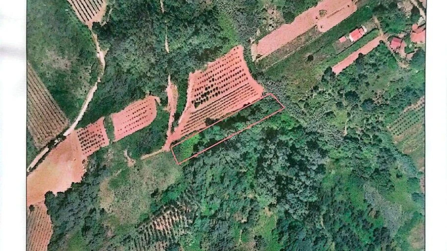 Terreno para Venda em Carvalhal Benfeito