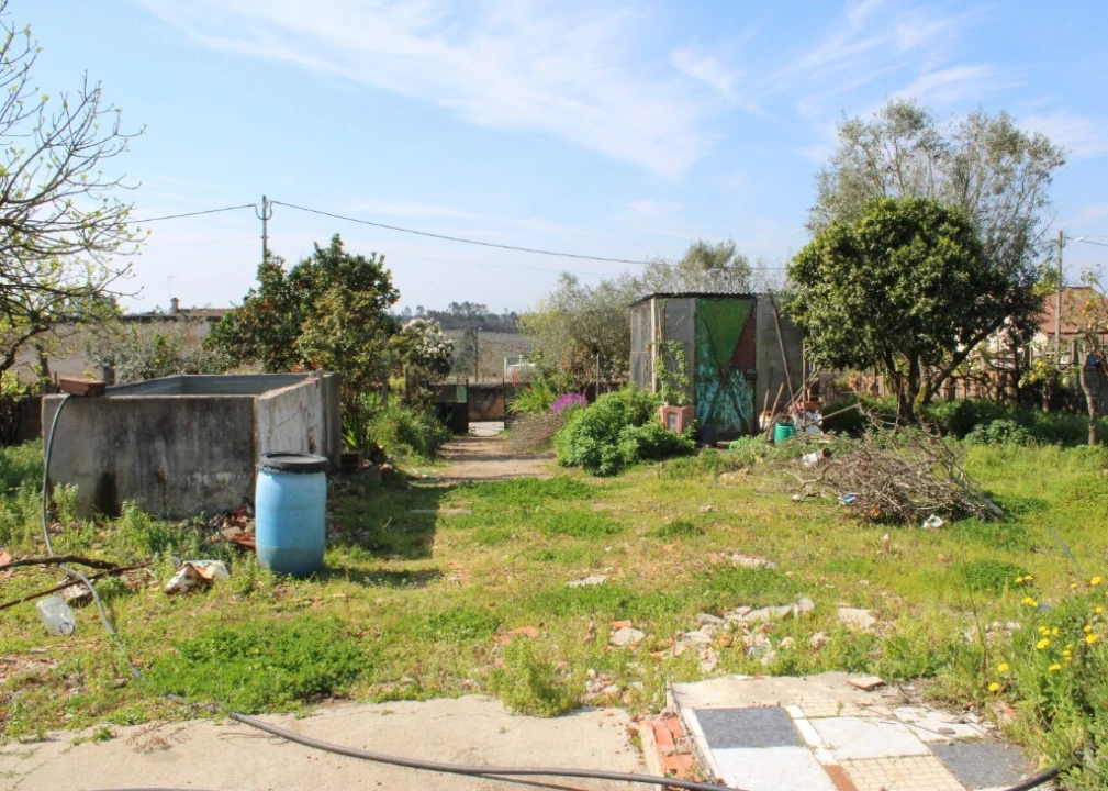 Moradia T4 para Venda em Aldeia do Mato e Souto Foto 4