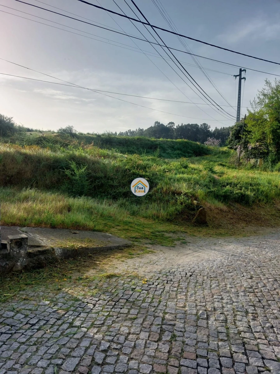 Terreno para Venda em Meinedo Foto 11