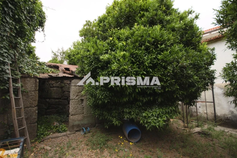 Moradia T3 para Venda em Vale Formoso e Aldeia do Souto Foto 3