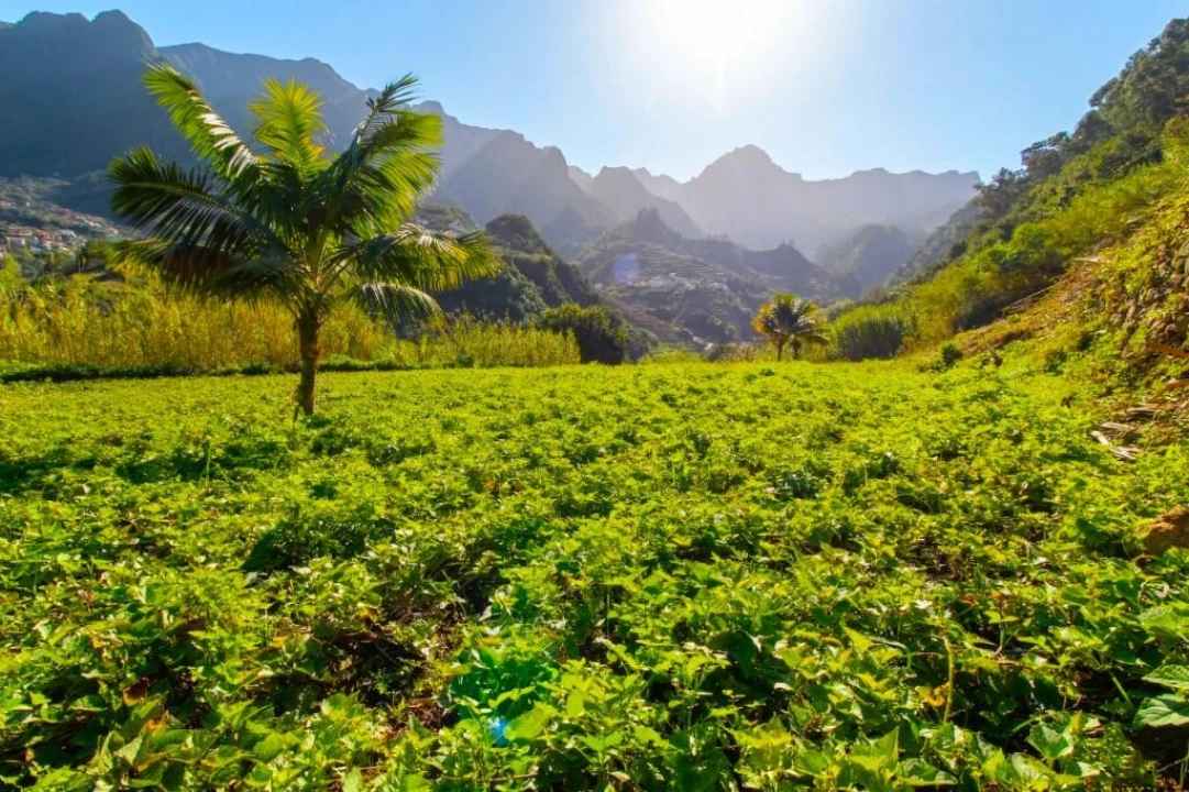 Terreno para Venda em São Vicente Foto 16
