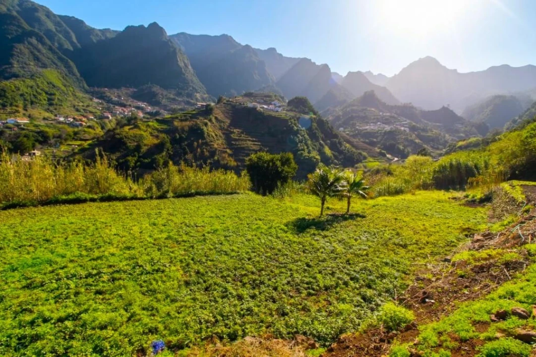 Terreno para Venda em São Vicente Foto 11