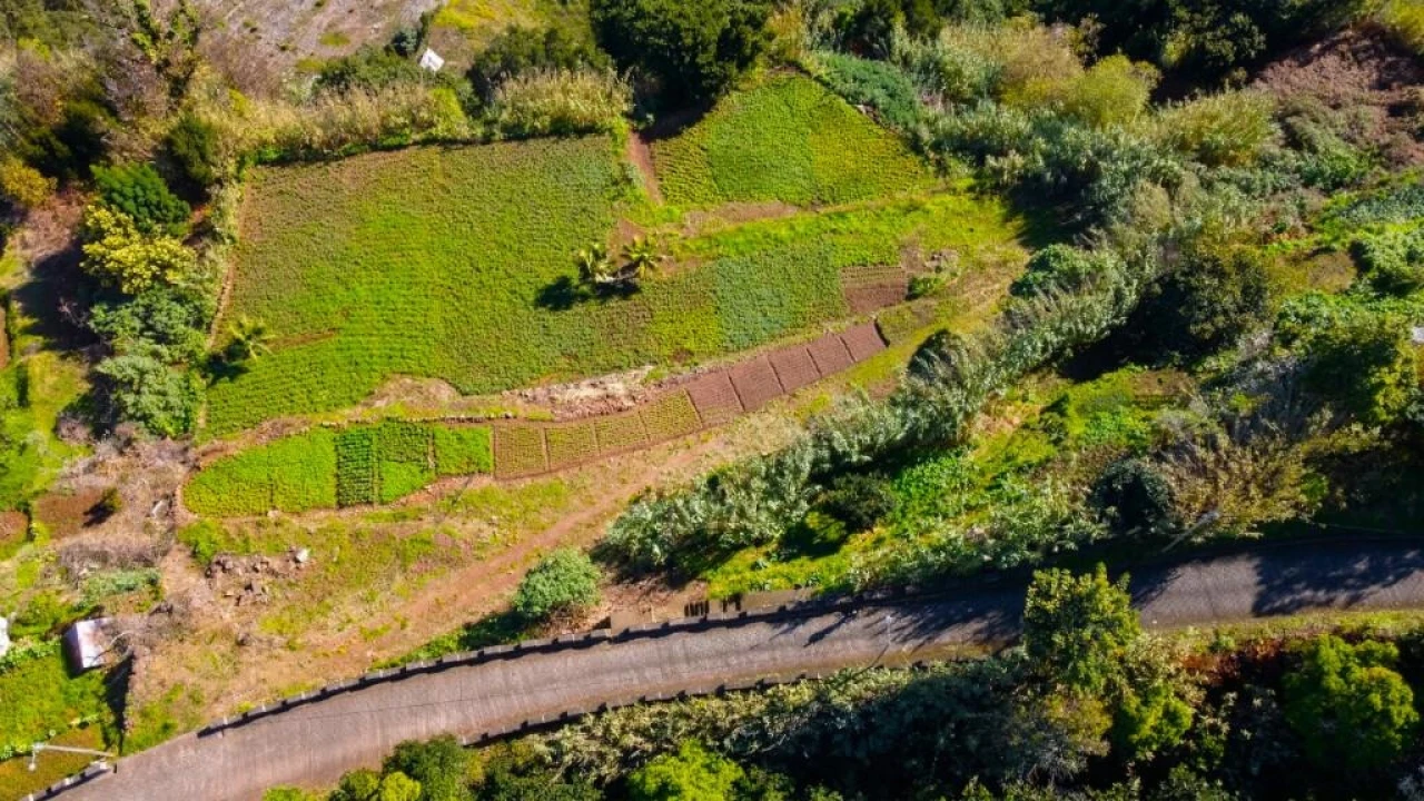Terreno para Venda em São Vicente Foto 8