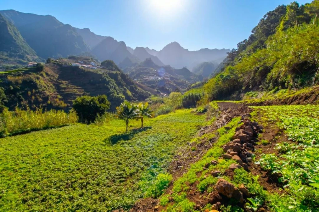 Terreno para Venda em São Vicente Foto 21