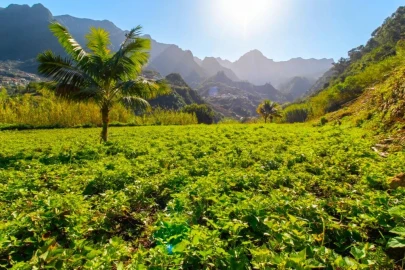 Terreno para Venda em São Vicente