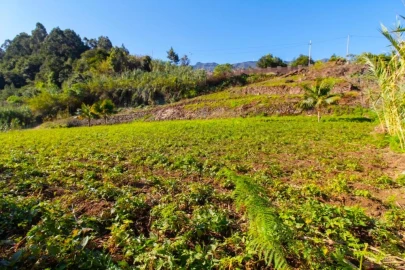Terreno para Venda em São Vicente