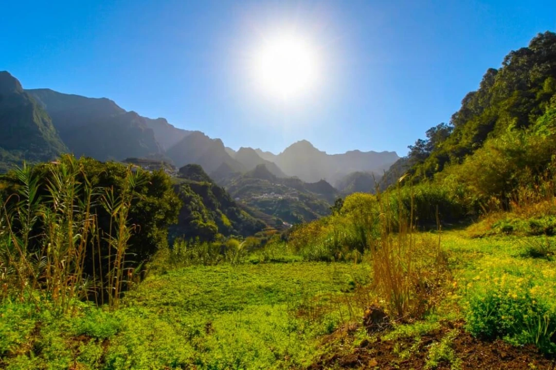 Terreno para Venda em São Vicente Foto 19