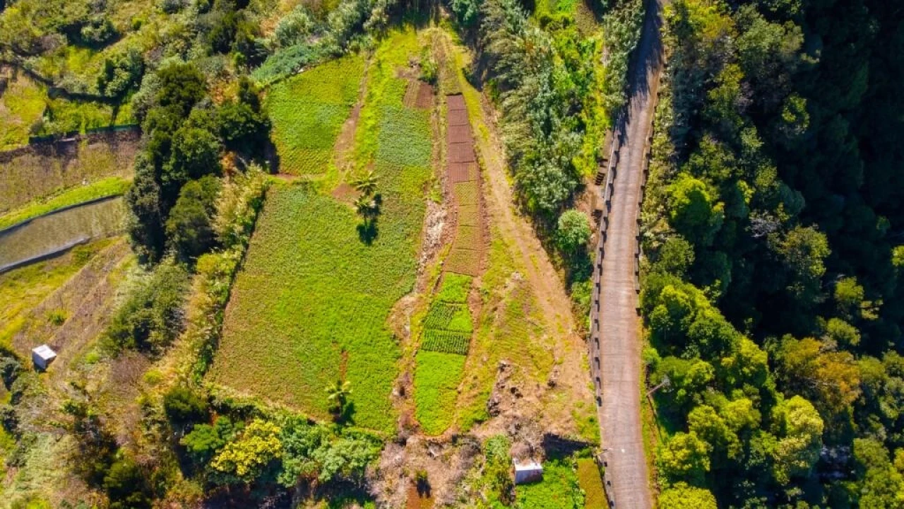 Terreno para Venda em São Vicente Foto 29