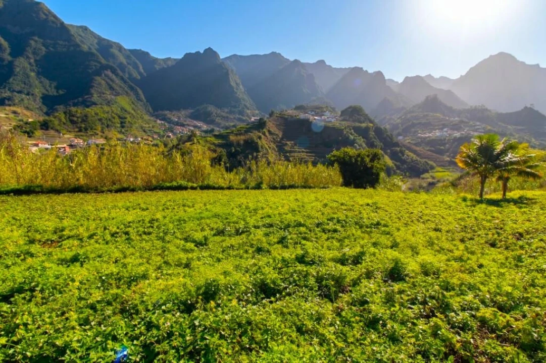 Terreno para Venda em São Vicente Foto 17